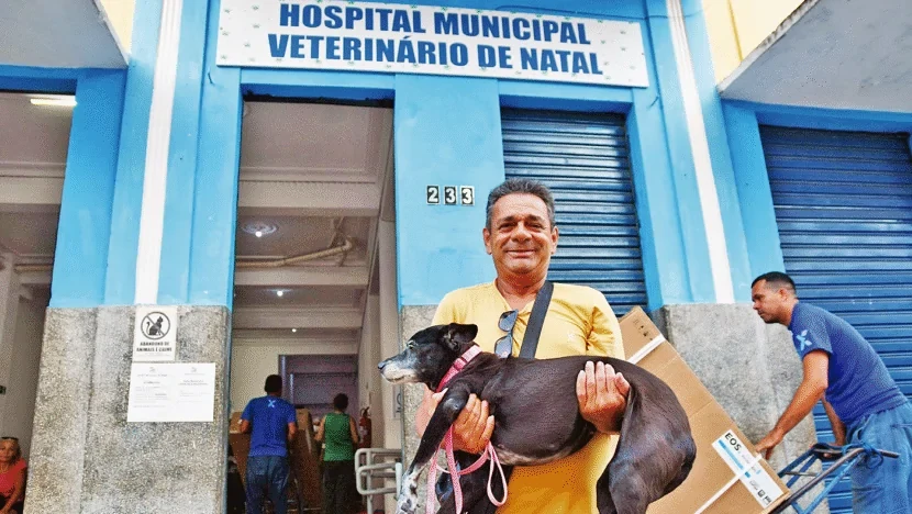 Anna Ruth Dantas