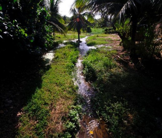 Foto: Cícero Oliveira.