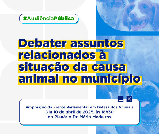 Assessoria