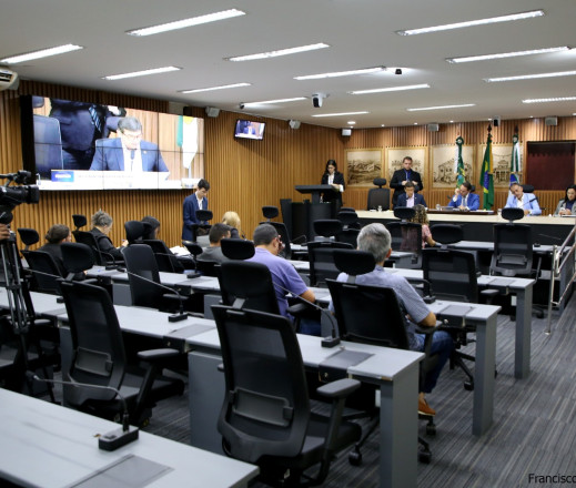 Divulgação