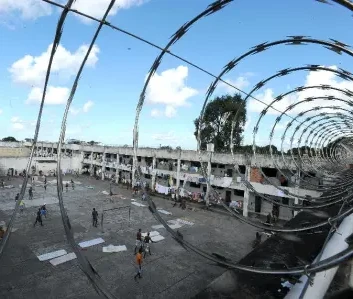 Reprodução