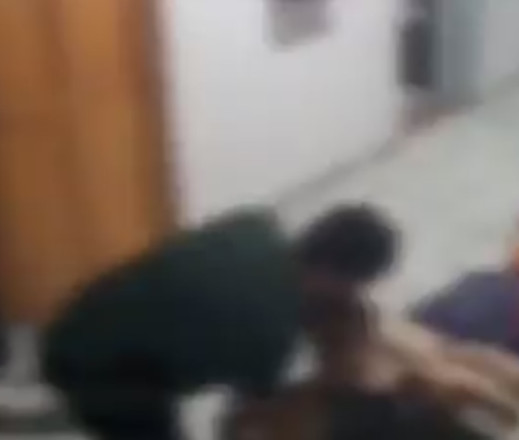 Reprodução