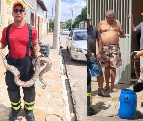 Divulgação