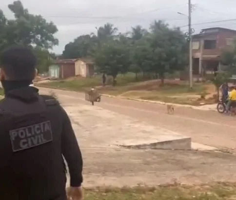 Reprodução