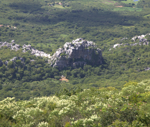 Assessoria