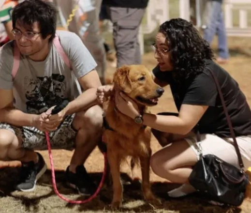 Reprodução