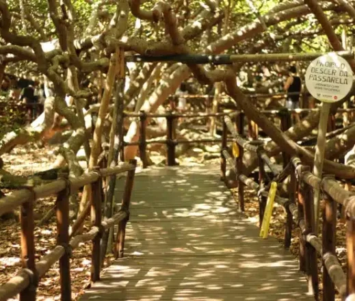 Foto: Caroline Macedo