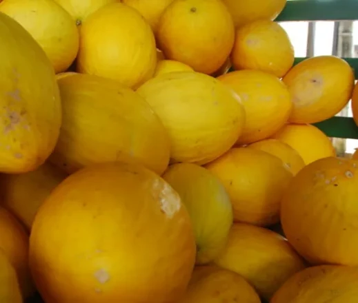 José Aldenir/Agora RN