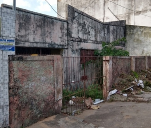 Reprodução