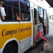 Imagem Destaque