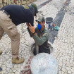 Imagem Destaque