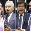 Imagem Destaque