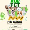Imagem Destaque