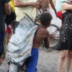 Imagem Destaque