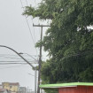 Imagem Destaque
