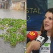 Imagem Destaque