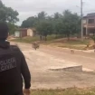 Imagem Destaque