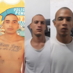 Imagem Destaque