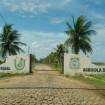 Imagem Destaque