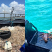 Post Images