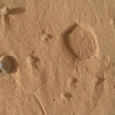 Post Images